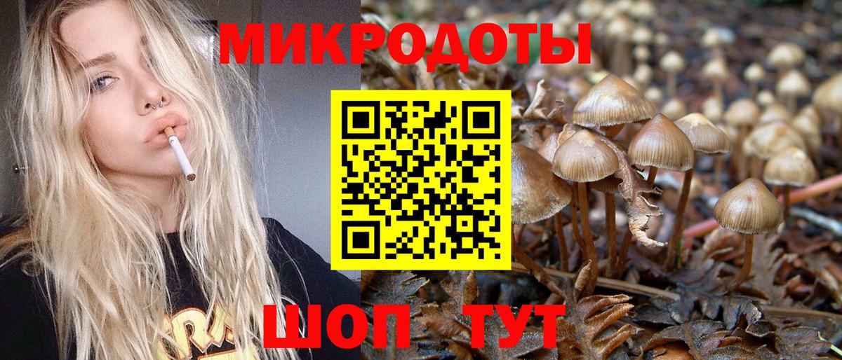 Псилоцибиновые грибы MAGIC MUSHROOMS  Вход с VPN  Волгоград 