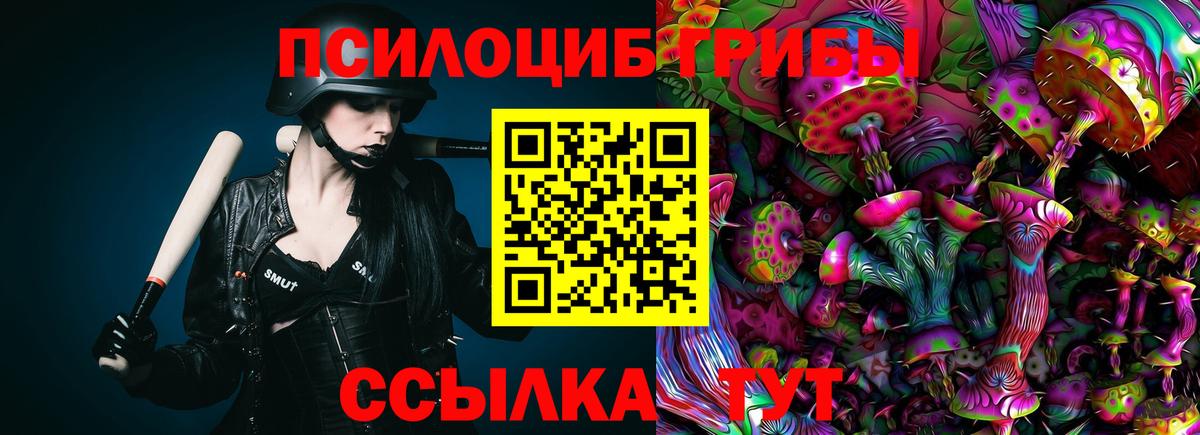 Псилоцибиновые грибы мицелий Волгоград